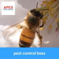 Apex Pest Control Leeds image 2